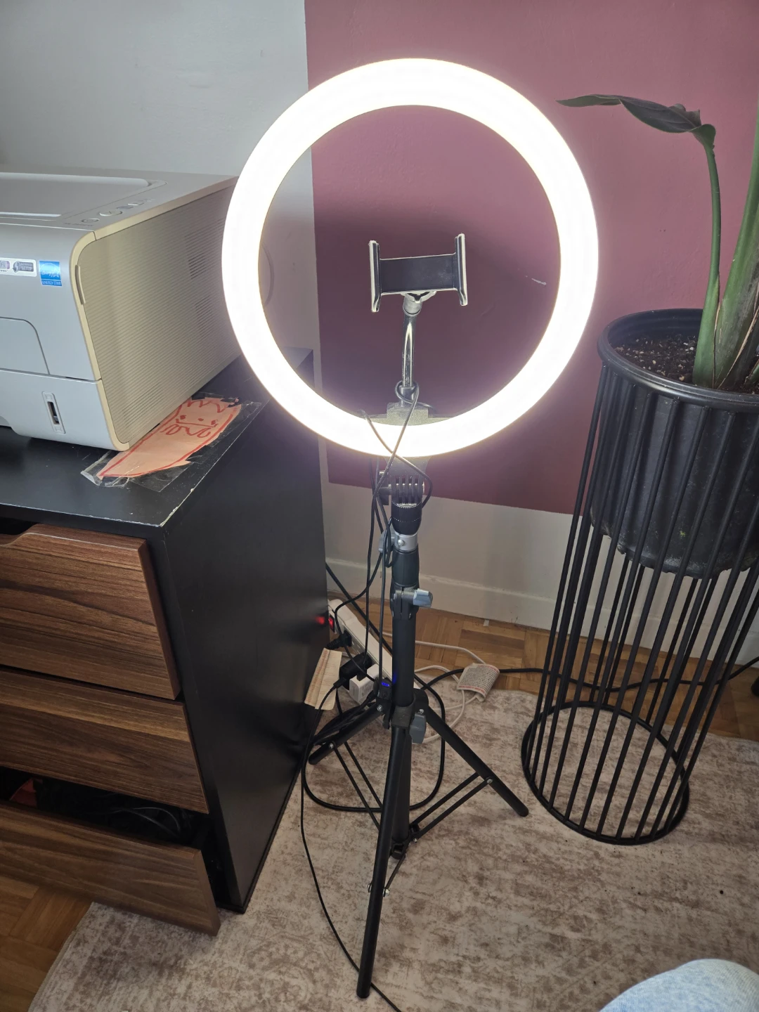 Ring Light with Phone Holder - photo 2