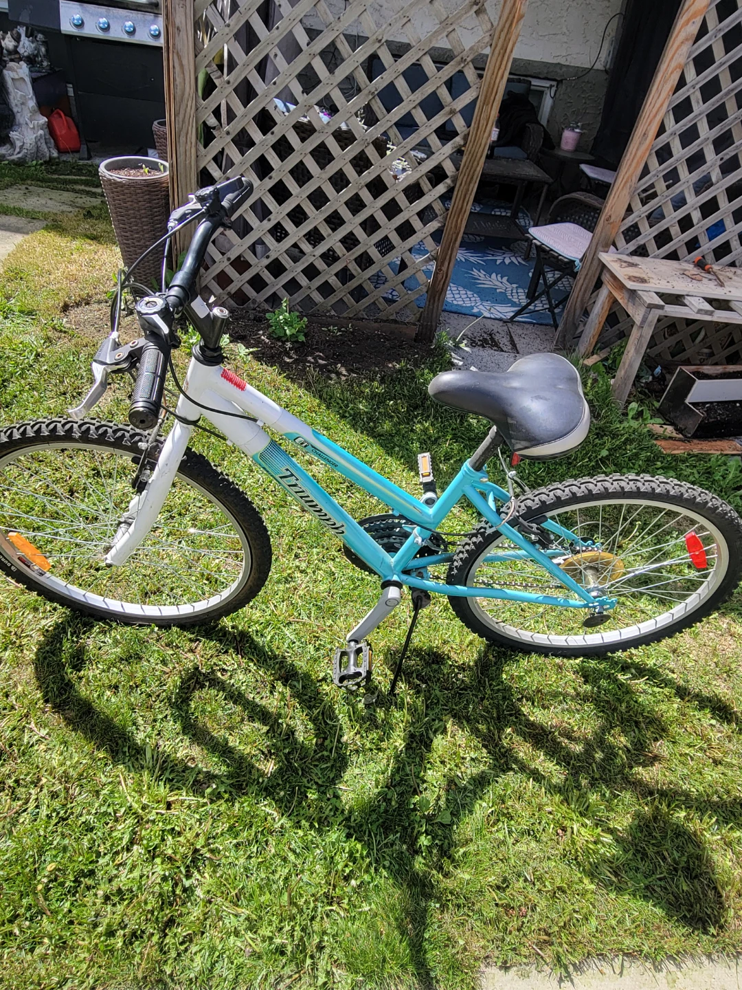 Triumph Mountain Bike - Blue/White YOUTH SIZE - photo 2