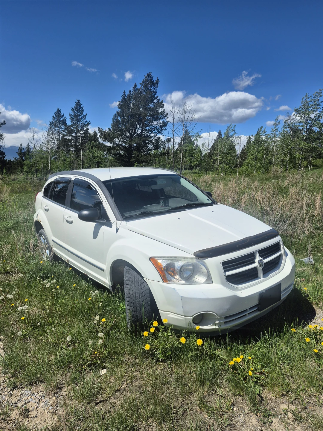 White Dodge Caliber