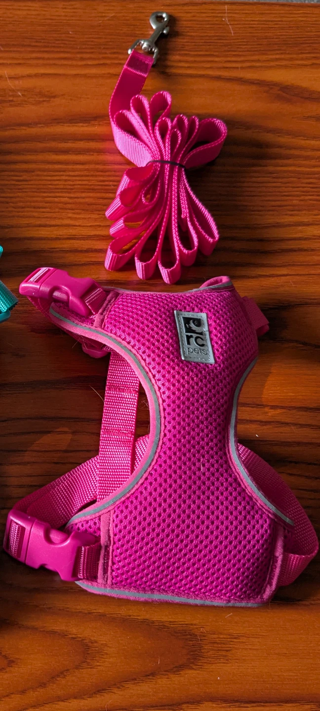 Pets Harness & Leash (Medium) - BRAND NEW