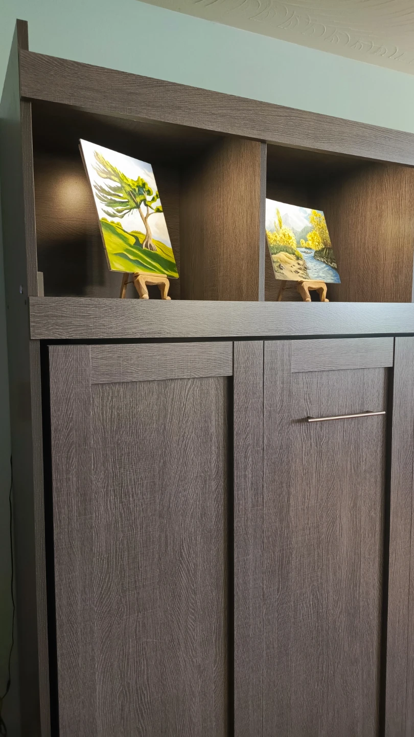 Murphy Bed with Shelving Unit and mattress. - photo 3