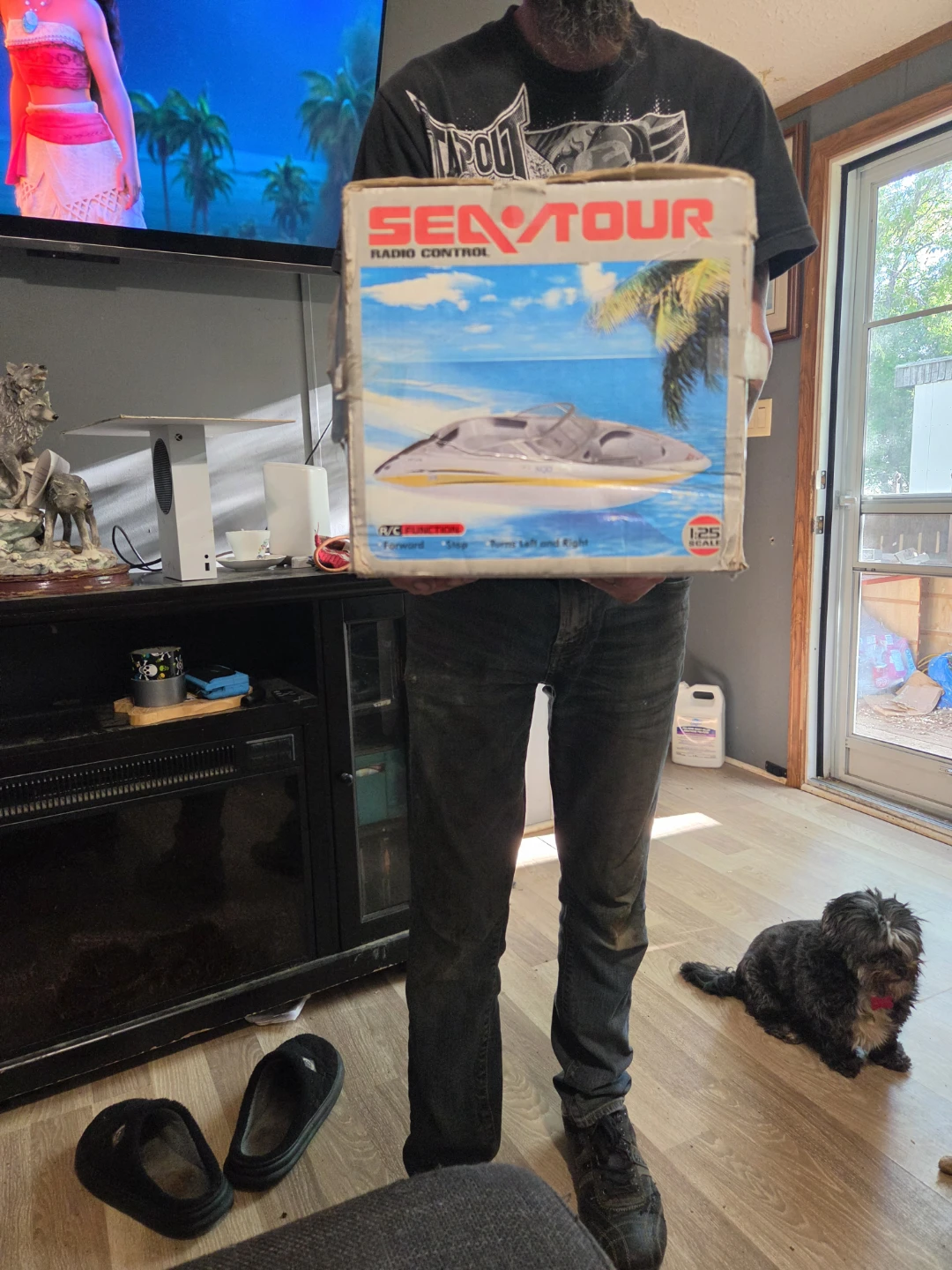 Sea Tour Radio Control Boat - photo 4