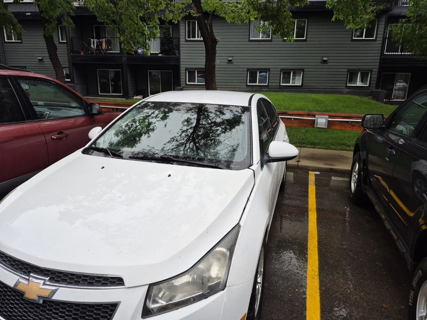 White Sedan - photo 5