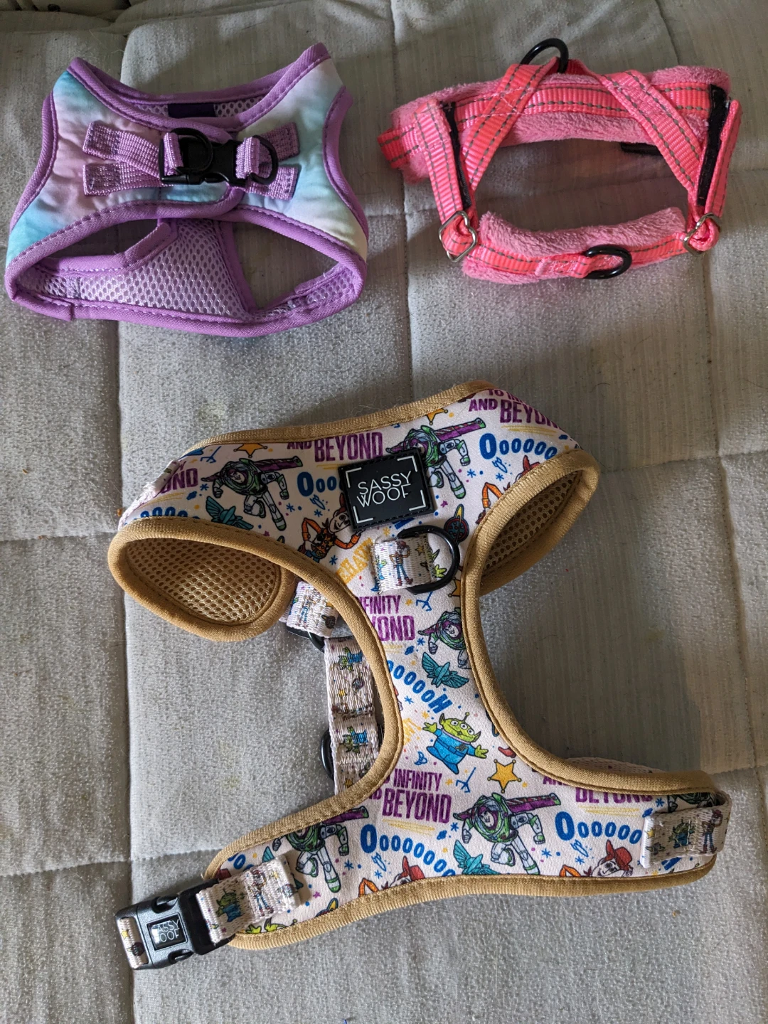 Various Dog Harness and Leash Sets