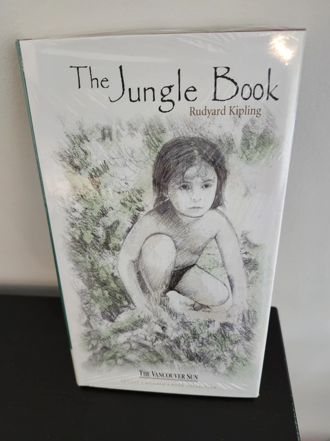 The Jungle Book by Rudyard Kipling ⚽️