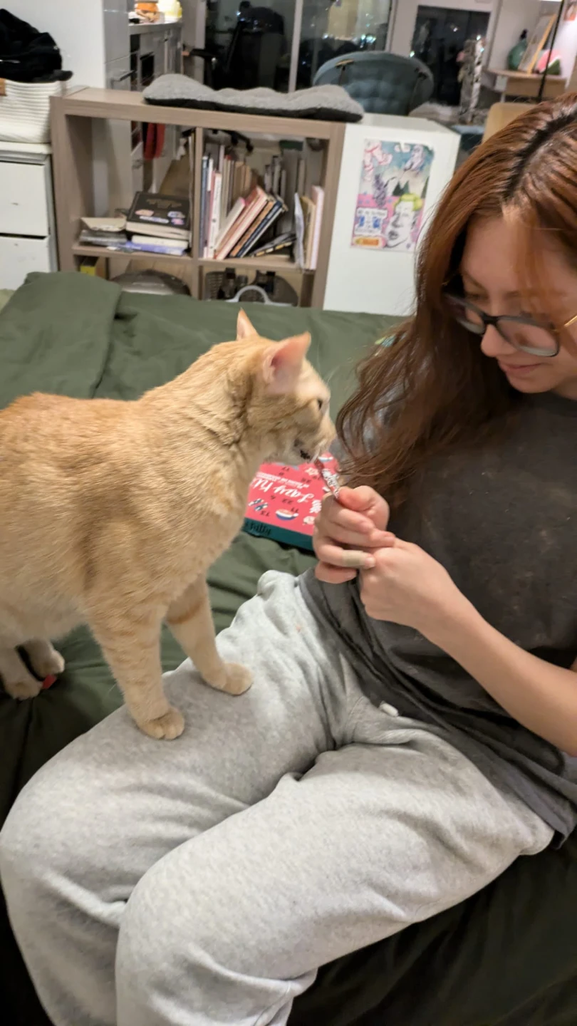 Cat Sitter and Dog Sitter
