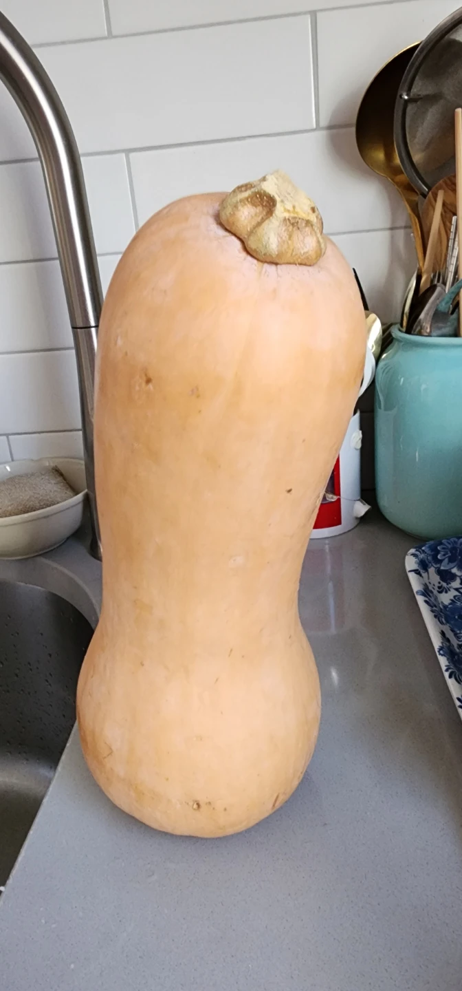 Butternut Squash ⚽