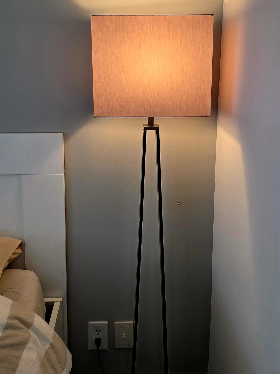 Dimmable Modern Floor Lamp - photo 2