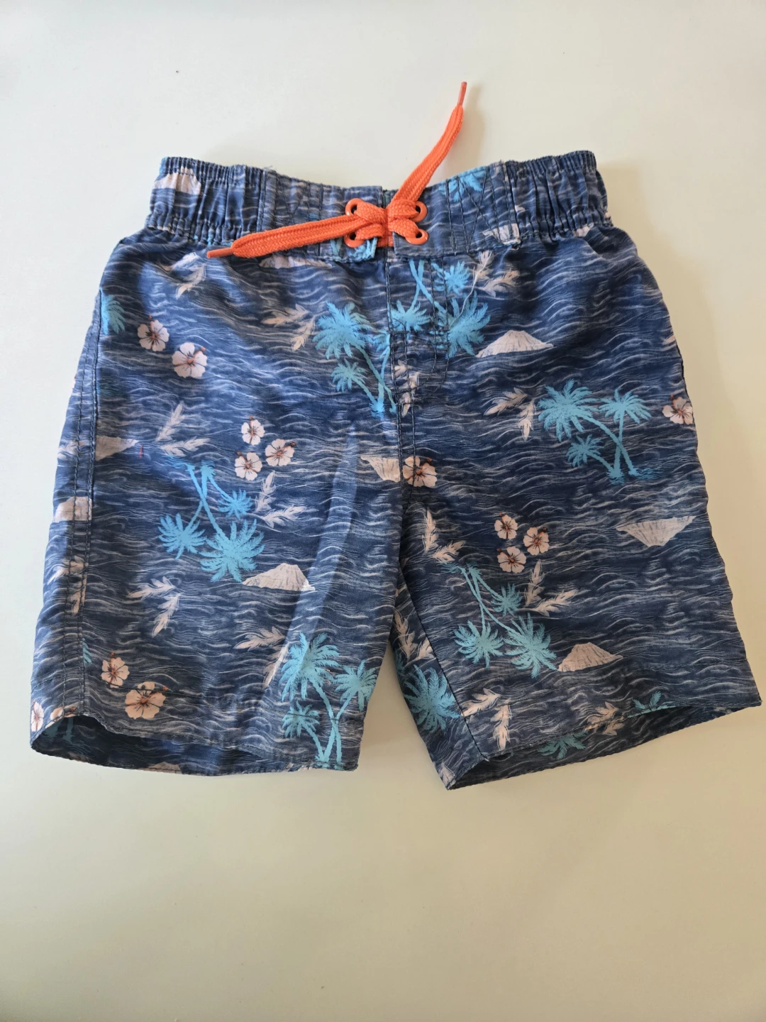 Toddler Boy Swim Shorts