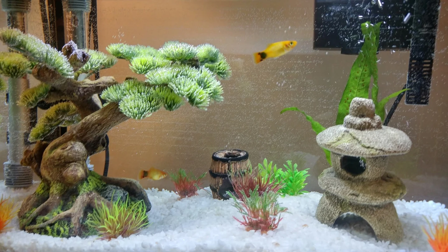 Aquarium with decor and filter - photo 3