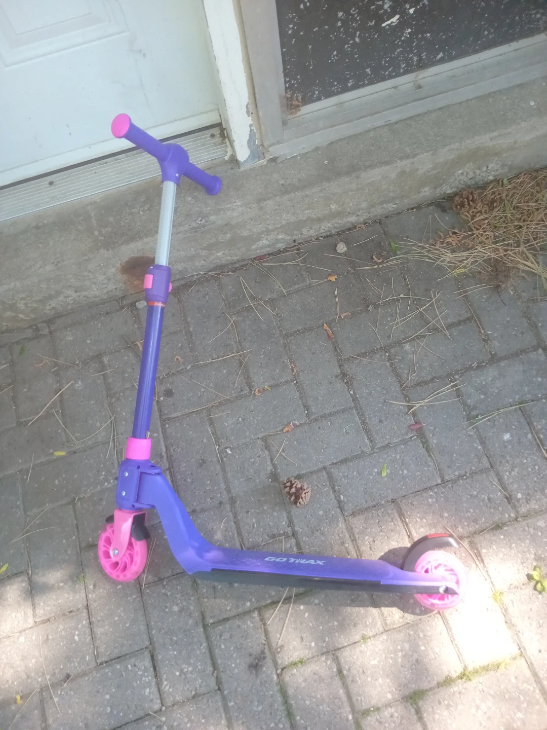 GO TRAX Kids Scooter