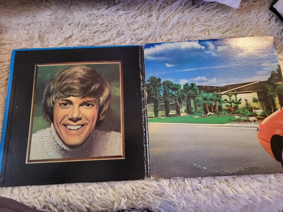 Carpenters Now & Then Vinyl Record ⚽️ - photo 2