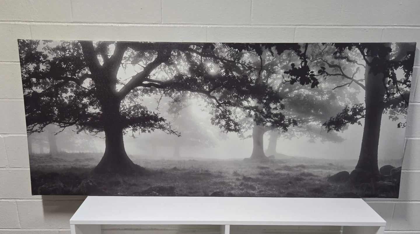 IKEA PJÄTTERYD Large Panoramic Forest Tree Canvas Art