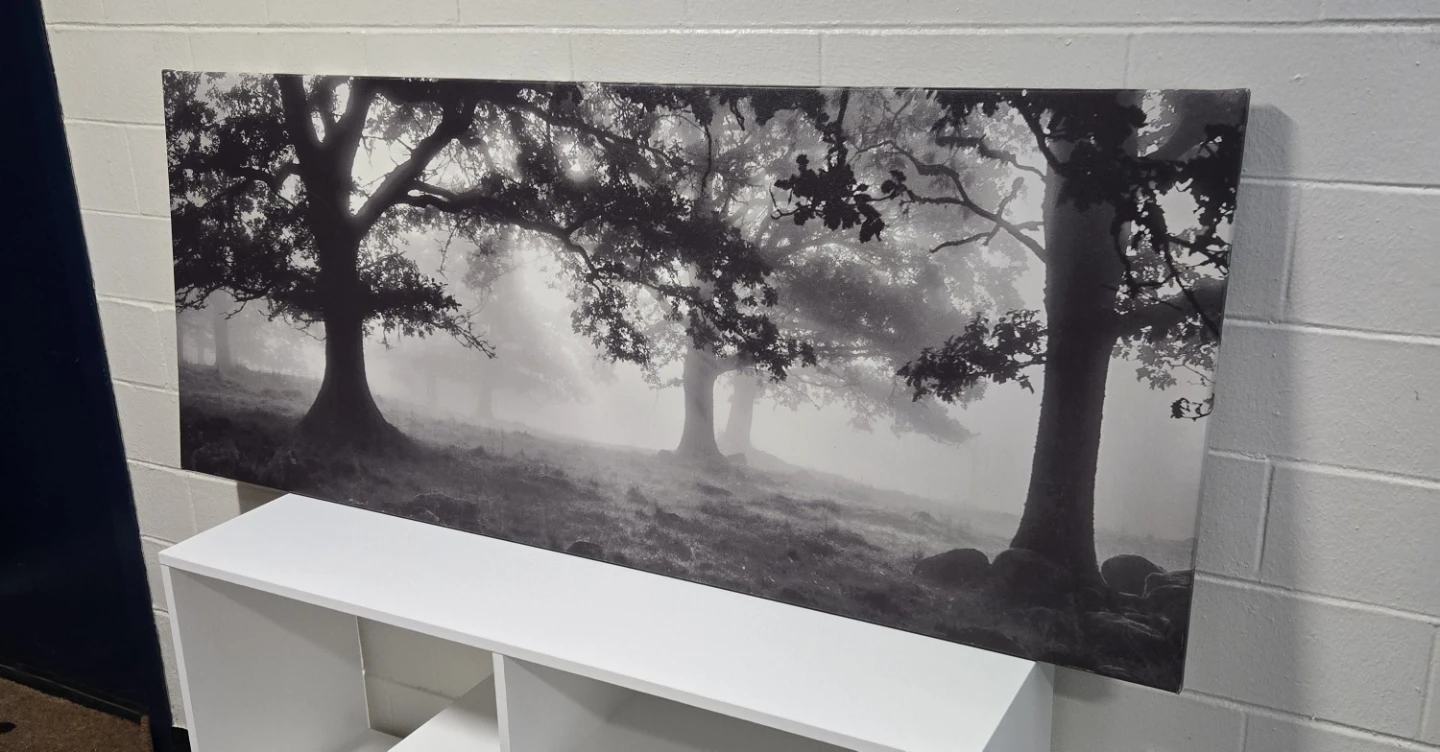 IKEA PJÄTTERYD Large Panoramic Forest Tree Canvas Art - photo 3