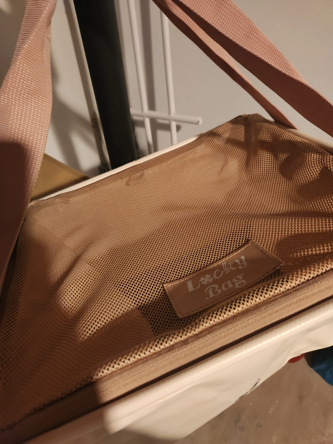 Starbucks Lucky Bag Lunch Bag - photo 2