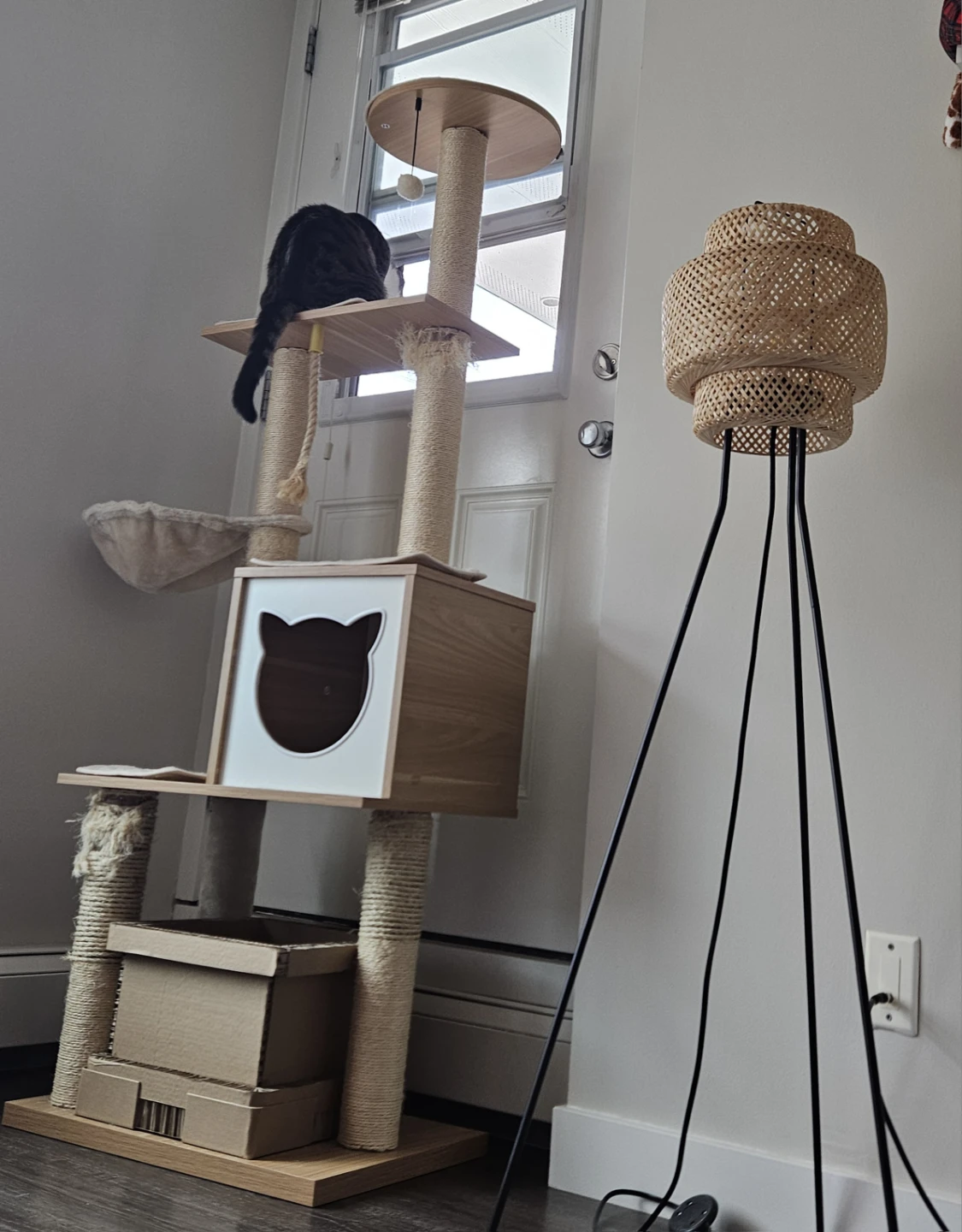 Luxury Cat Condo / Jungle Gym / Executive Suite - photo 2
