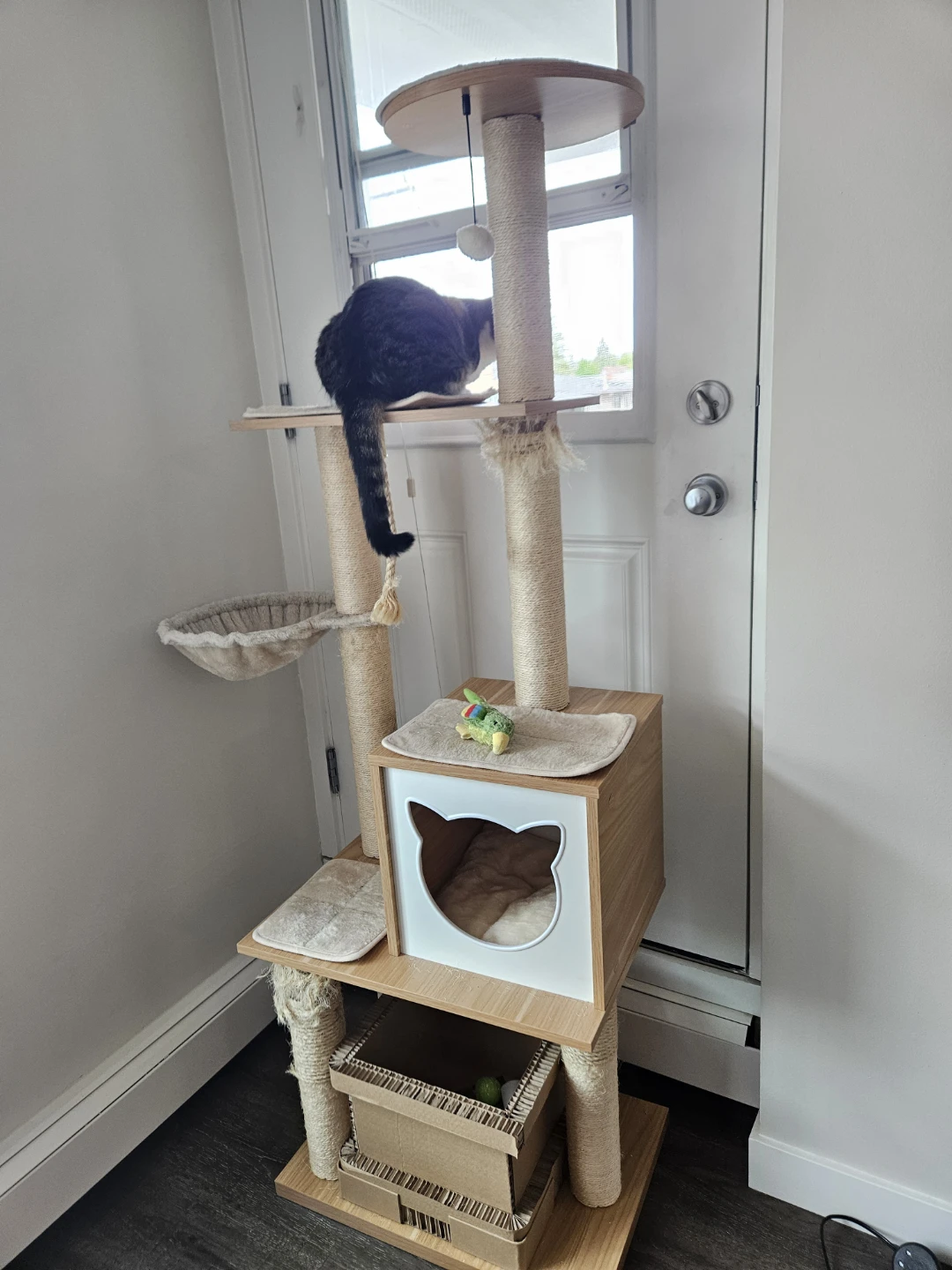 Luxury Cat Condo / Jungle Gym / Executive Suite - photo 4