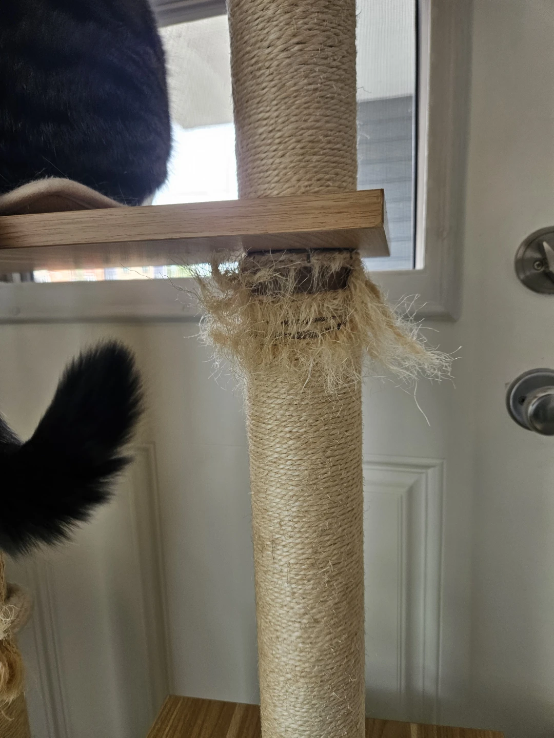 Luxury Cat Condo / Jungle Gym / Executive Suite - photo 5