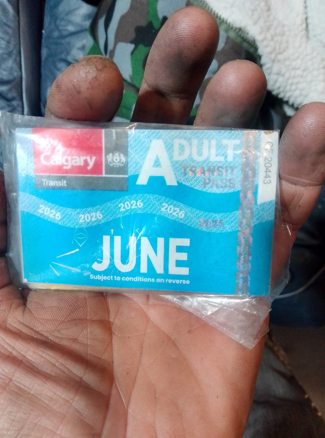 Calgary Transit Adult June 2026 Pass
