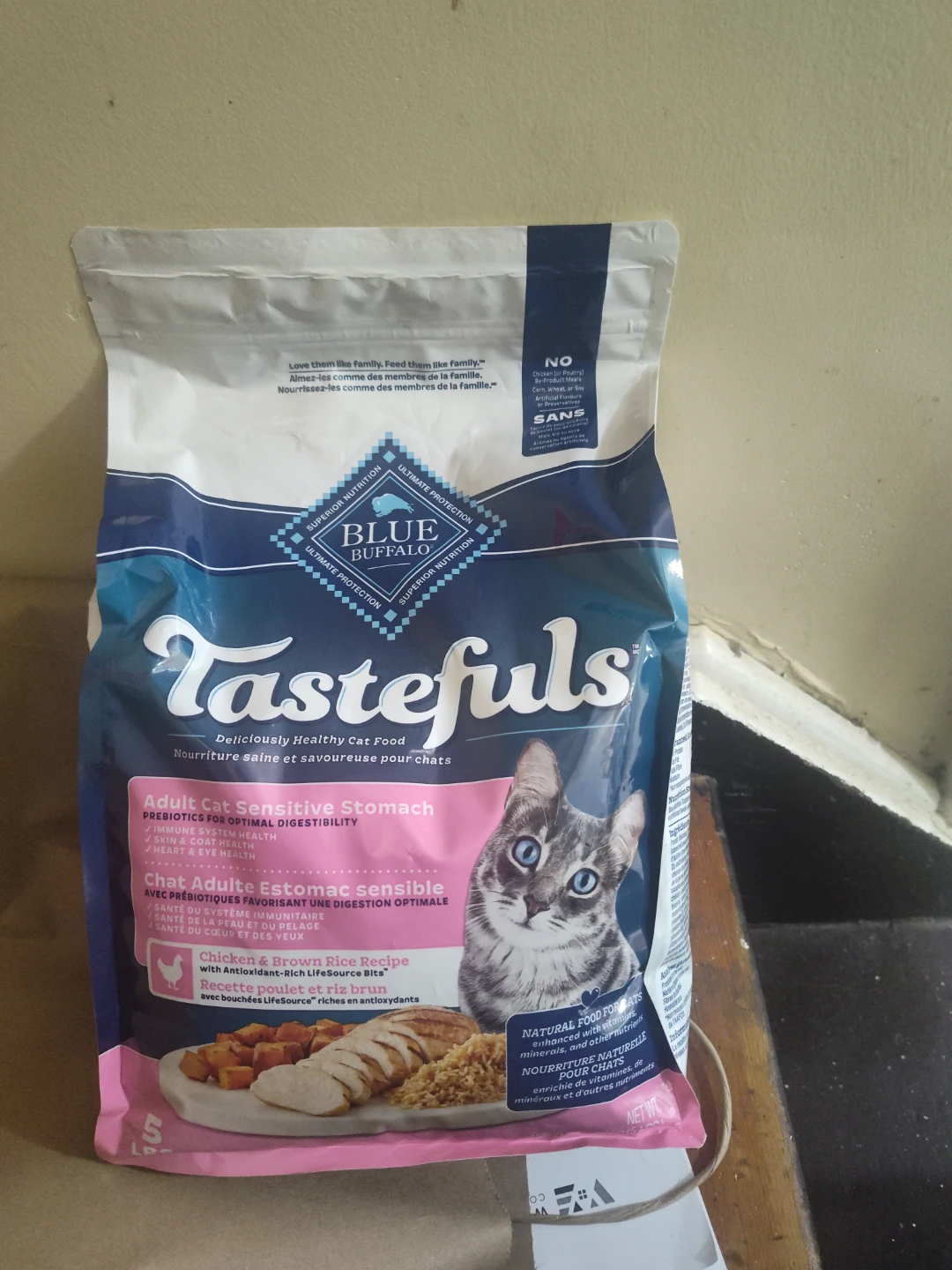 Cat food