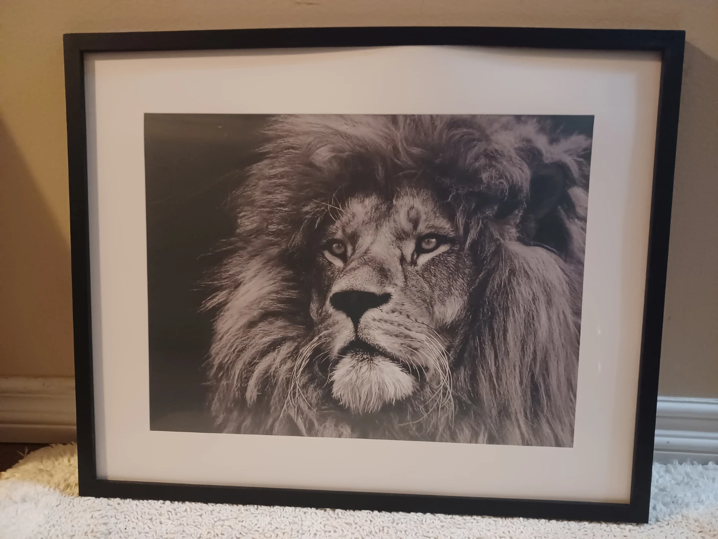 Framed Lion Portrait Wall Art