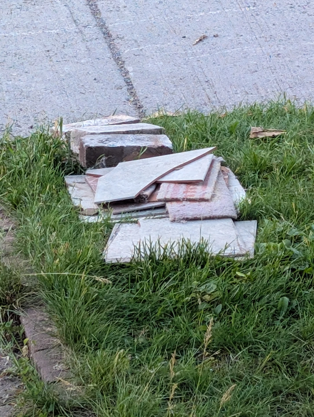 Assorted Paving Stones