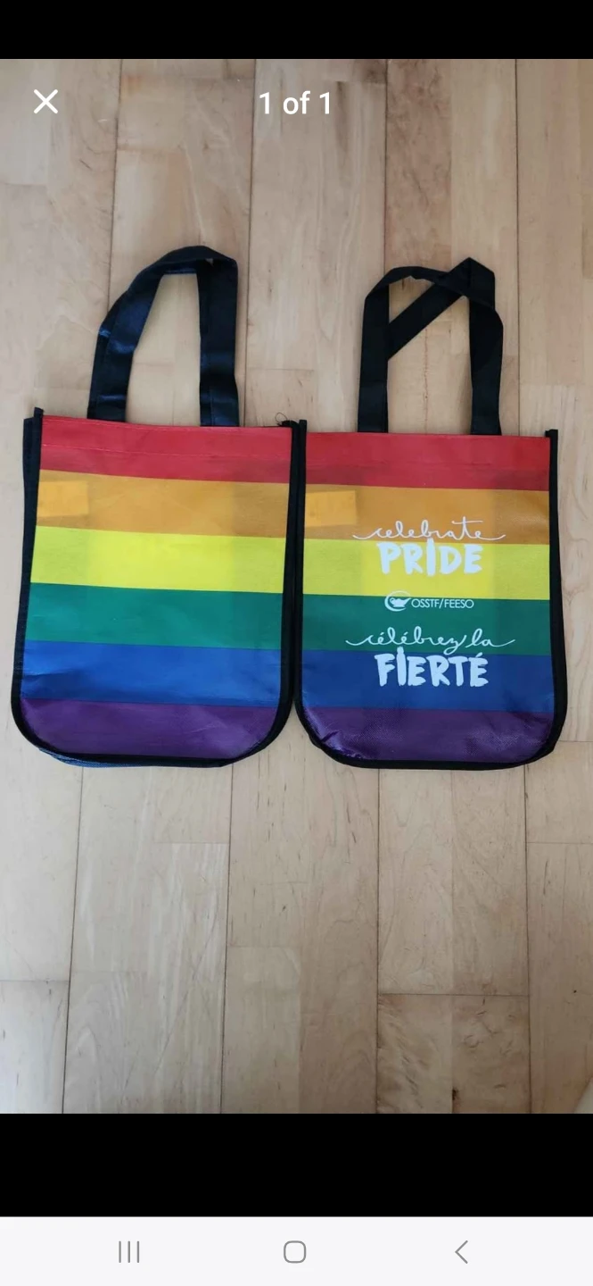 Rainbow Pride Small Reusable Bags