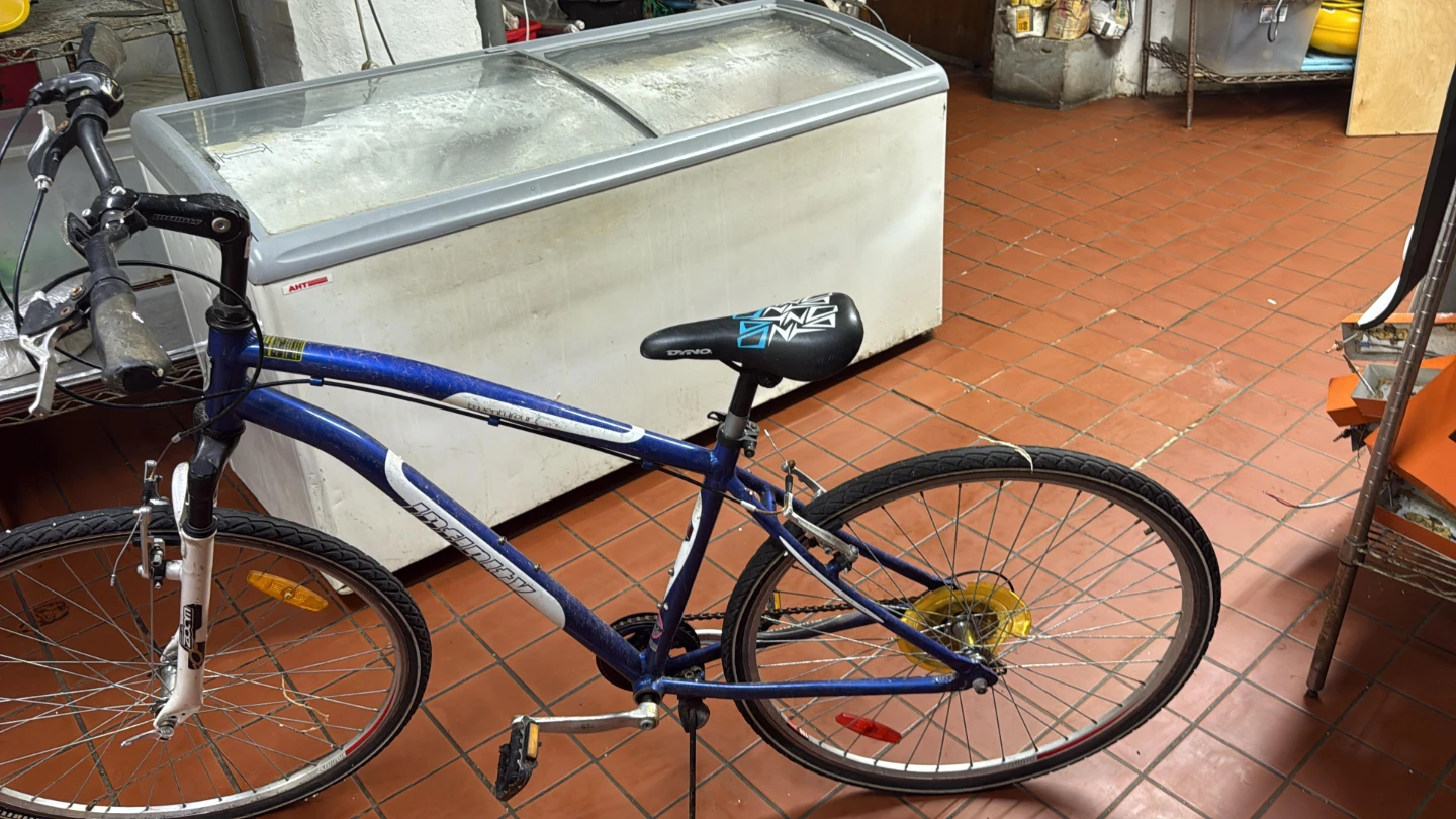 infinity Bicycle - photo 2