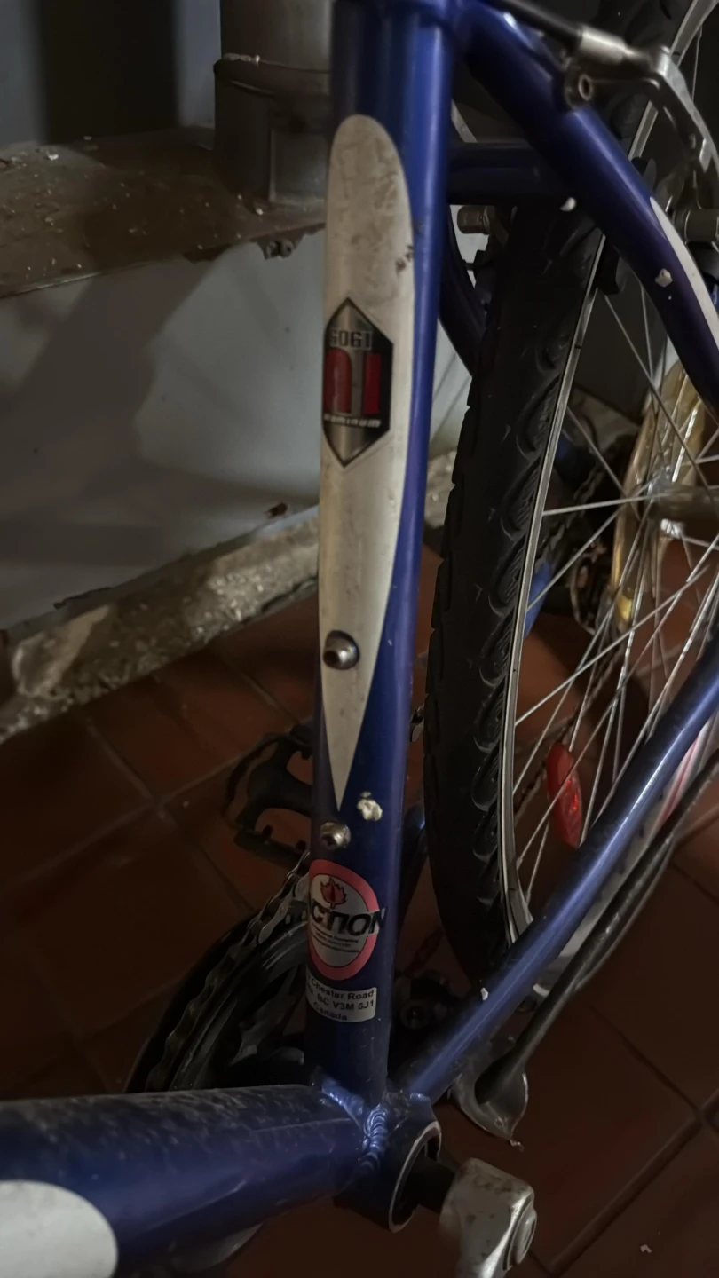 infinity Bicycle - photo 4