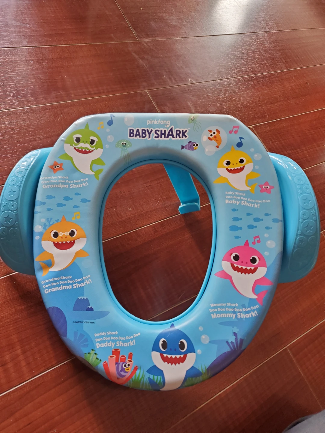 Potty Training Seat