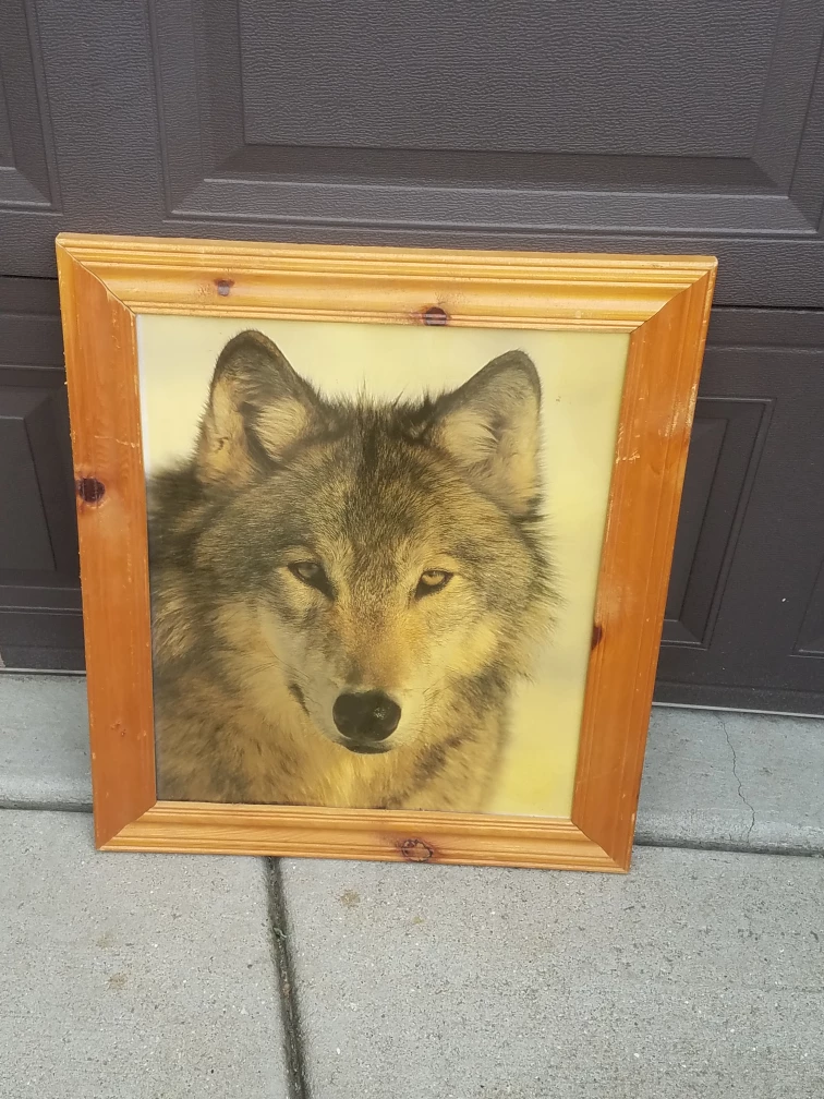 Framed Wolf Print