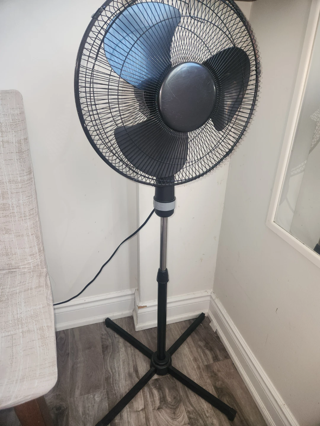 Fan