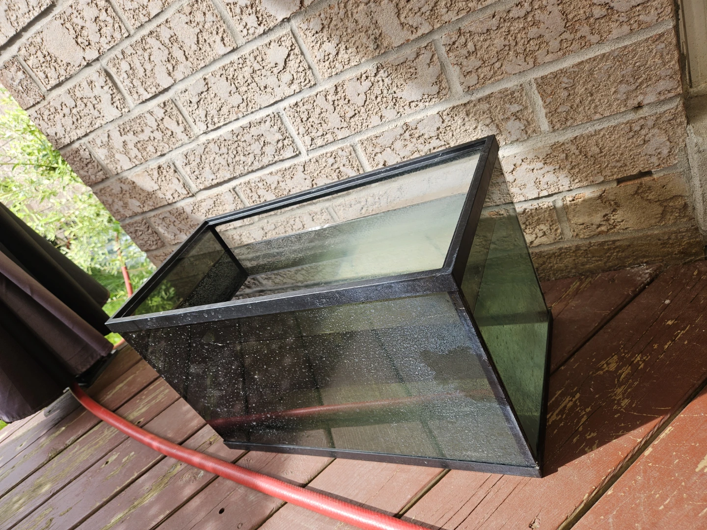 10 Gallon Glass Aquarium Tank