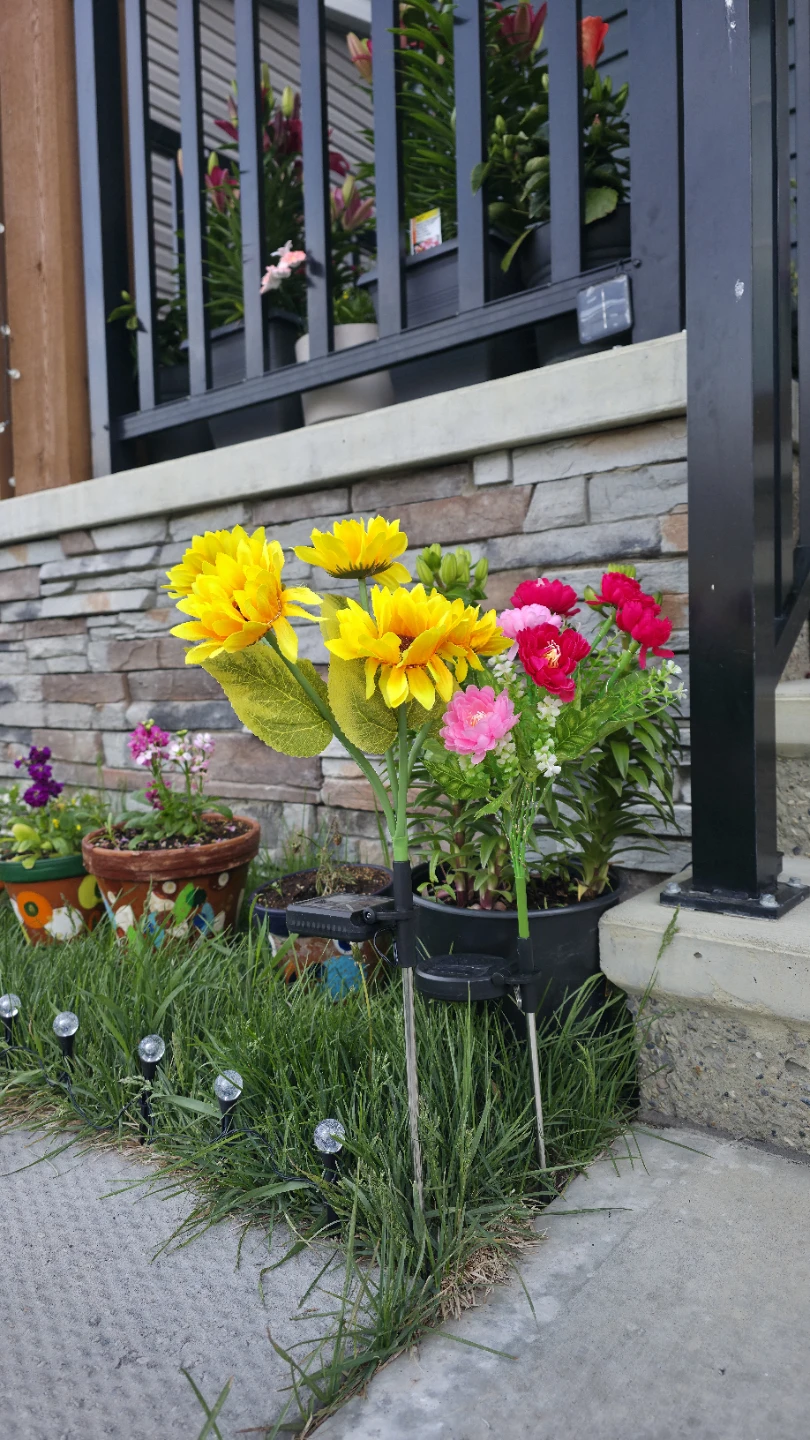 Solar Powered Flower Lights