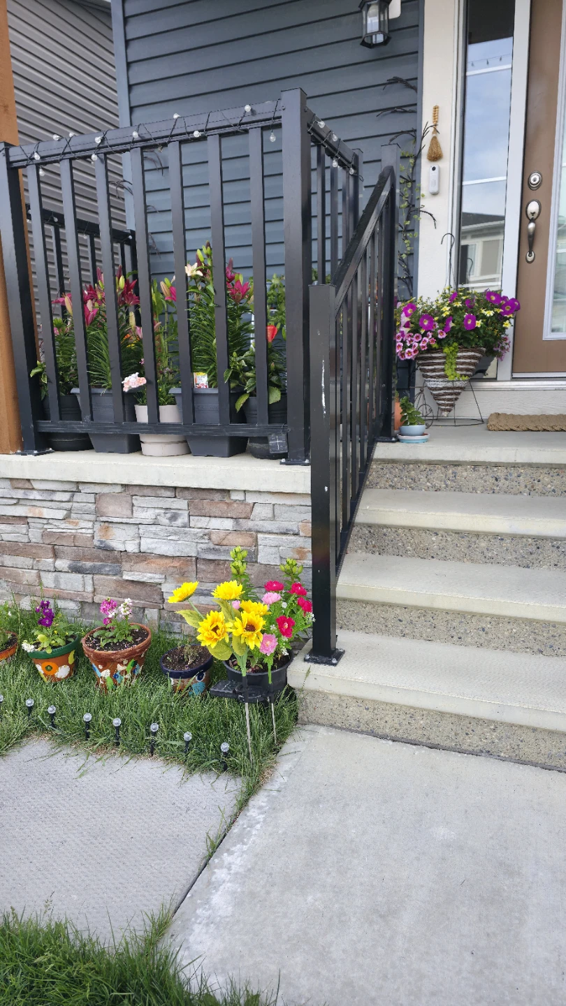 Solar Powered Flower Lights - photo 2