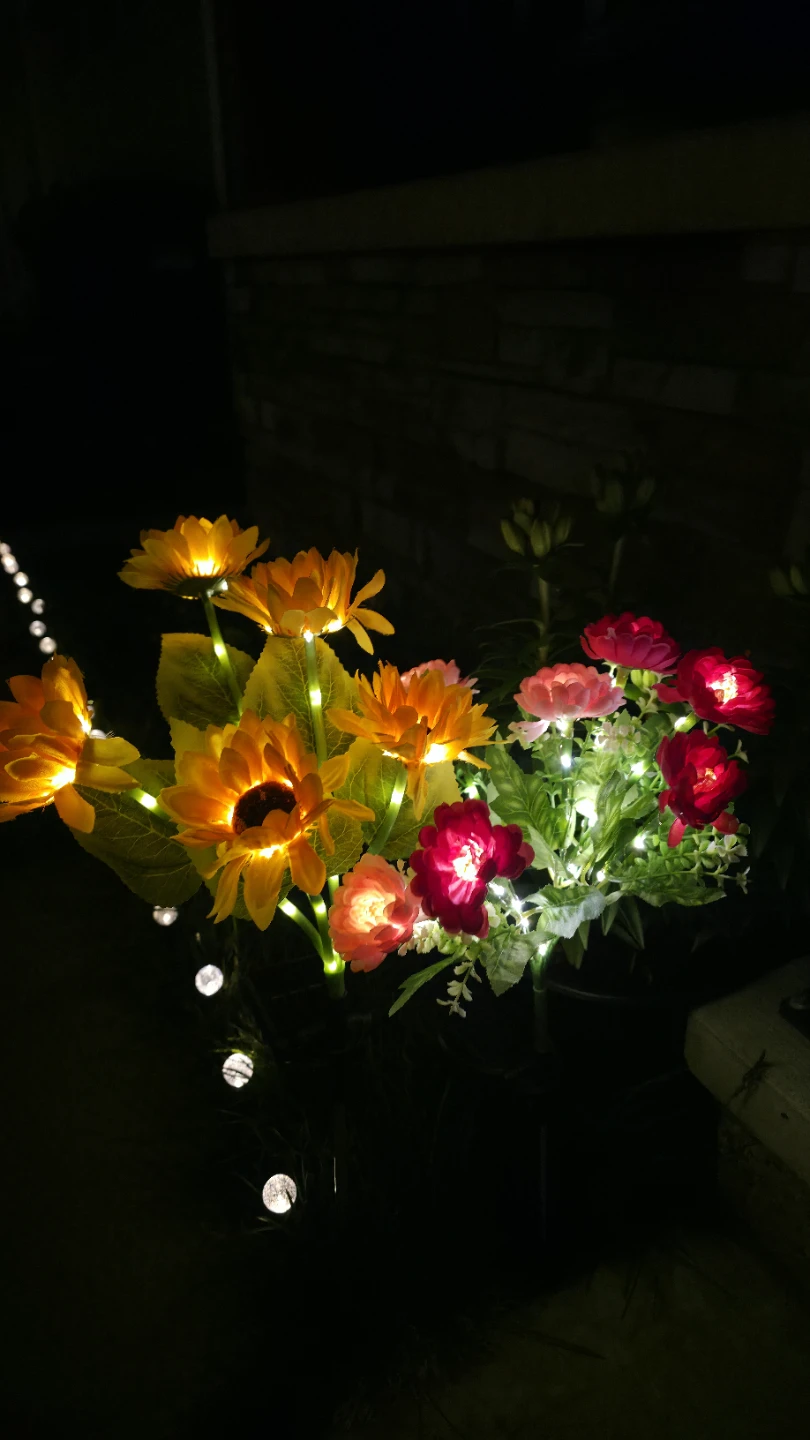 Solar Powered Flower Lights - photo 3