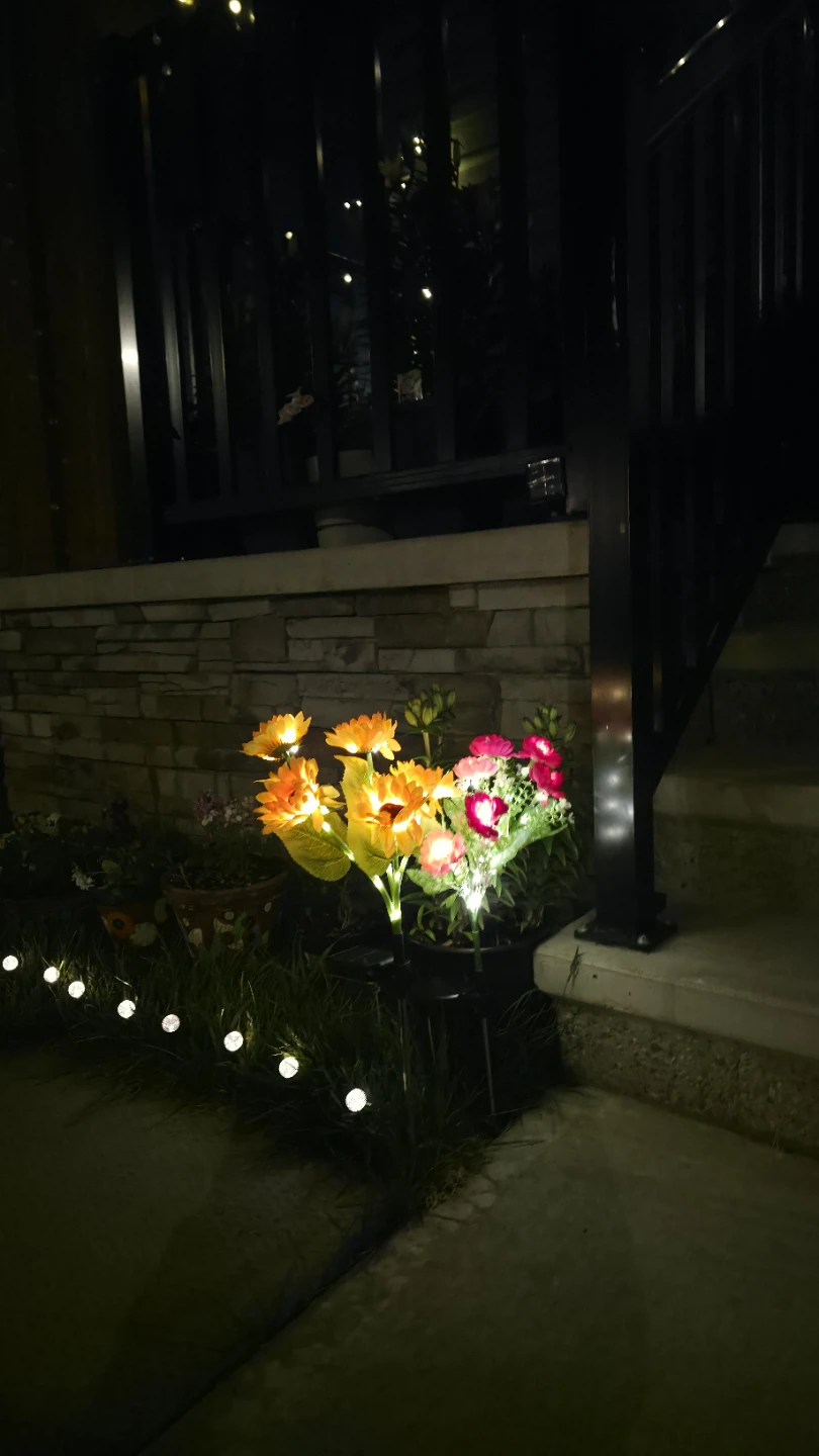 Solar Powered Flower Lights - photo 4