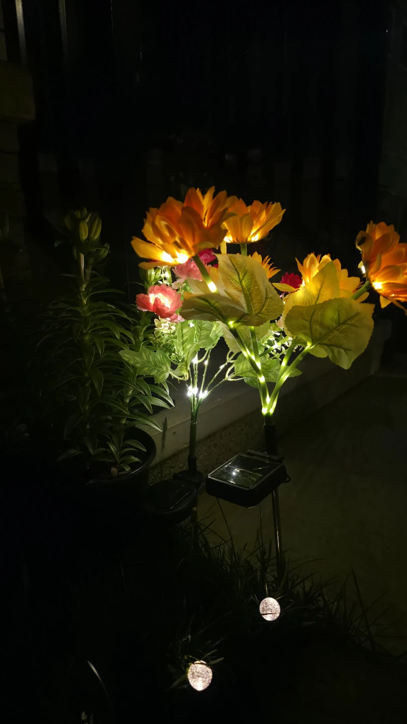 Solar Powered Flower Lights - photo 5