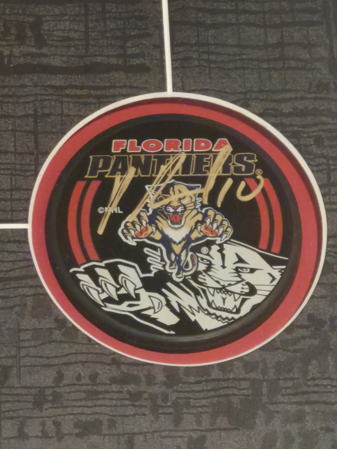 Framed Pavel Bure Florida Panthers Photo and signed puck ⚽️ - photo 3