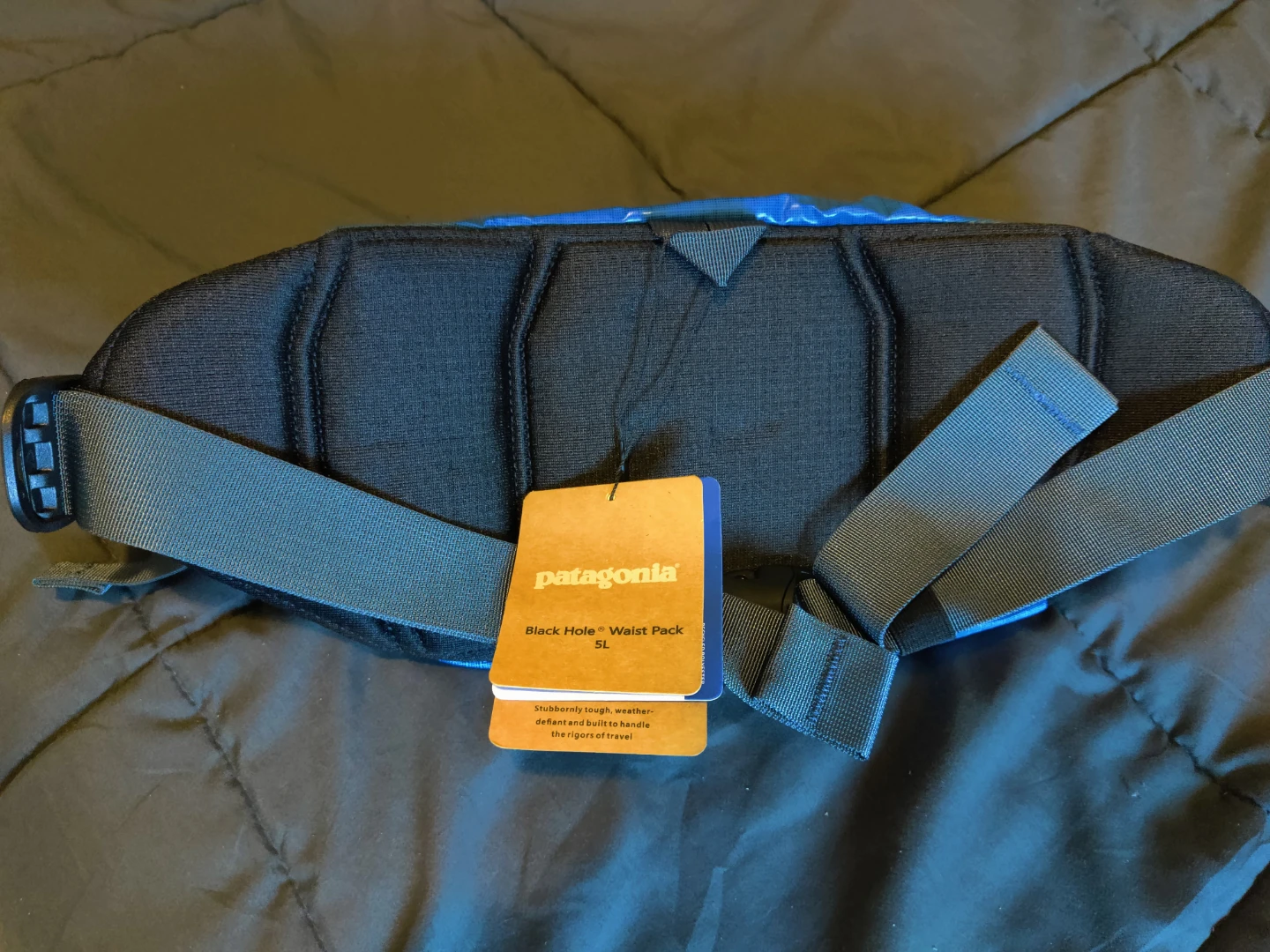 Patagonia Black Hole Waist Pack 5L Blue - photo 2