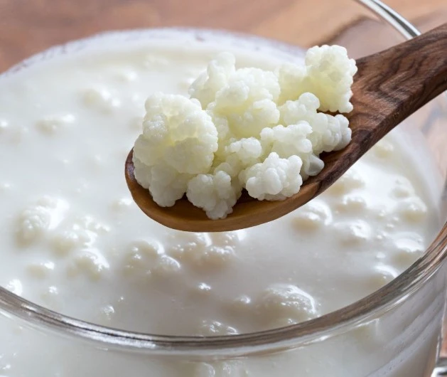 Kefir Grains