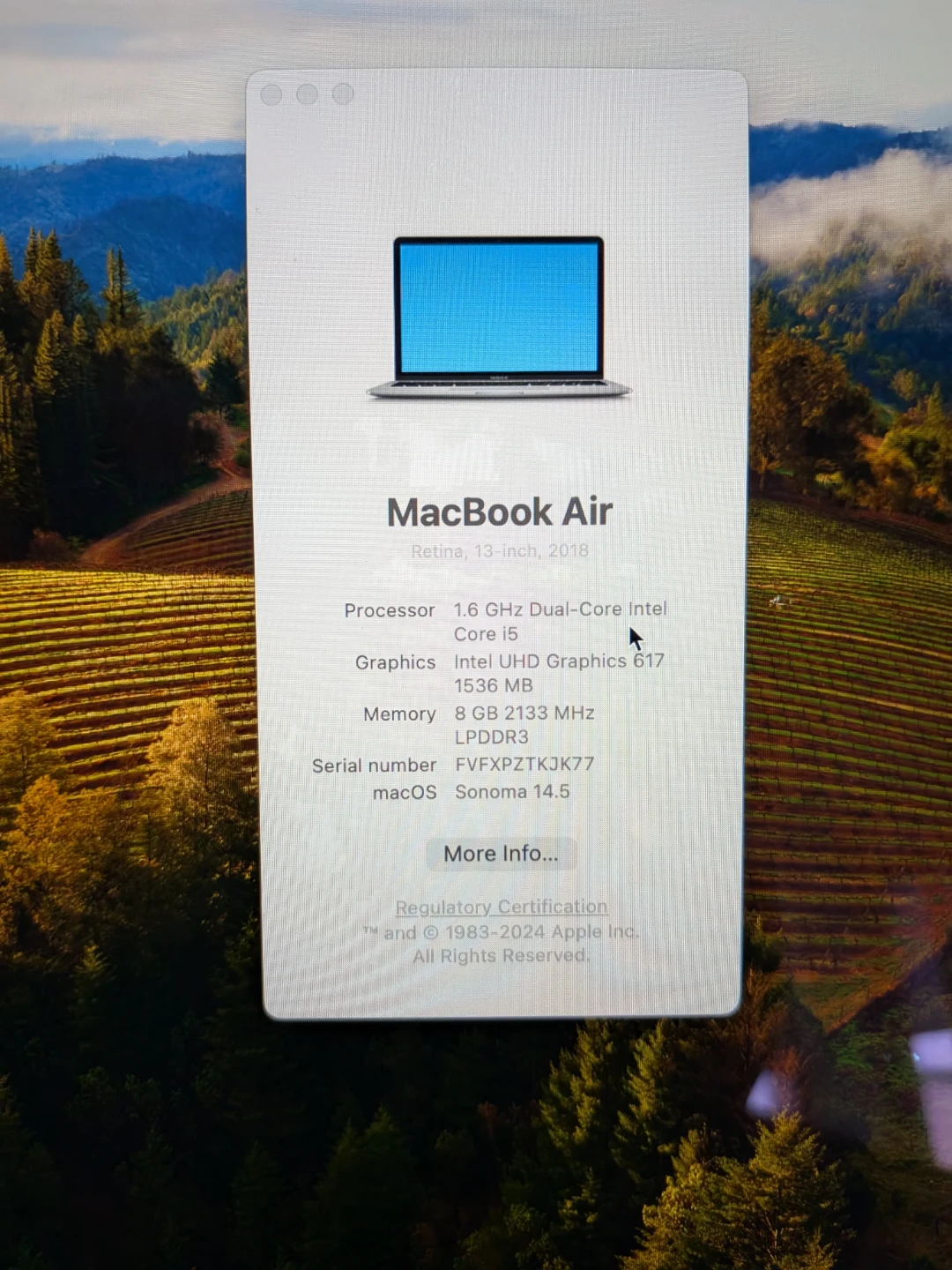 MacBook Air 2018 13 inch - photo 5