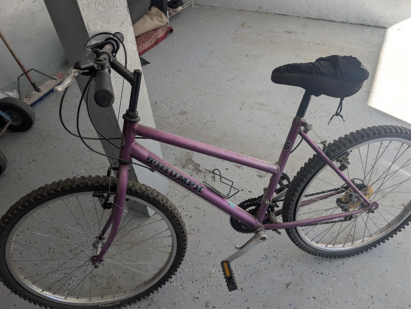 Triumph Purple Mountain Bike