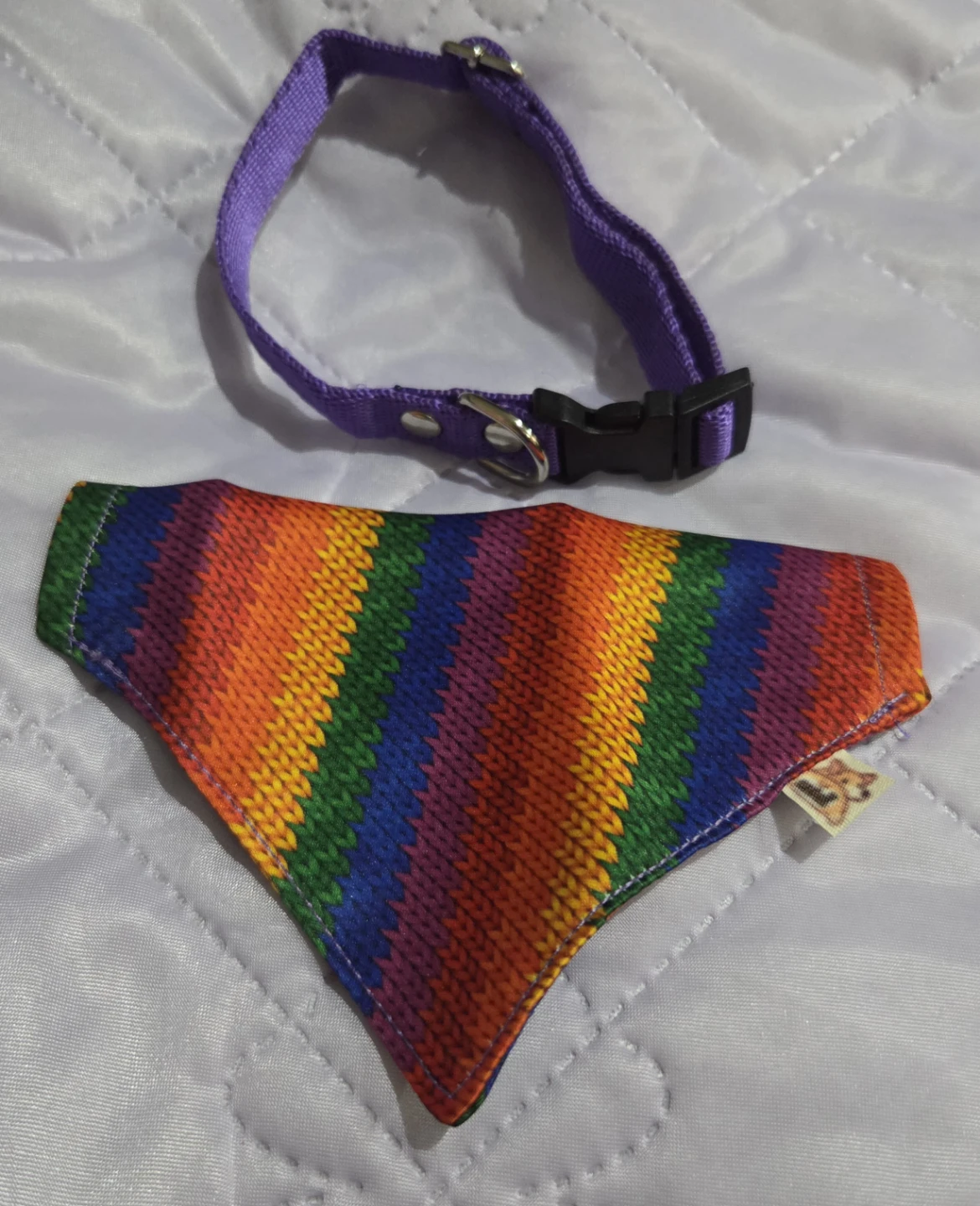 Pet Collar and Bandana Set