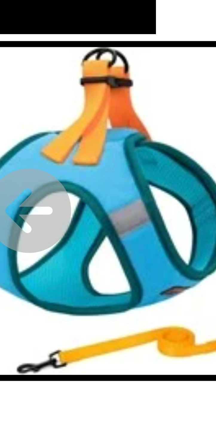 No Pull Dog Harness with Leash Set