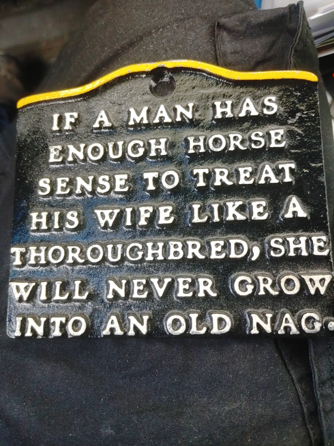 Cast Iron Sign - If a man has enough horse sense...