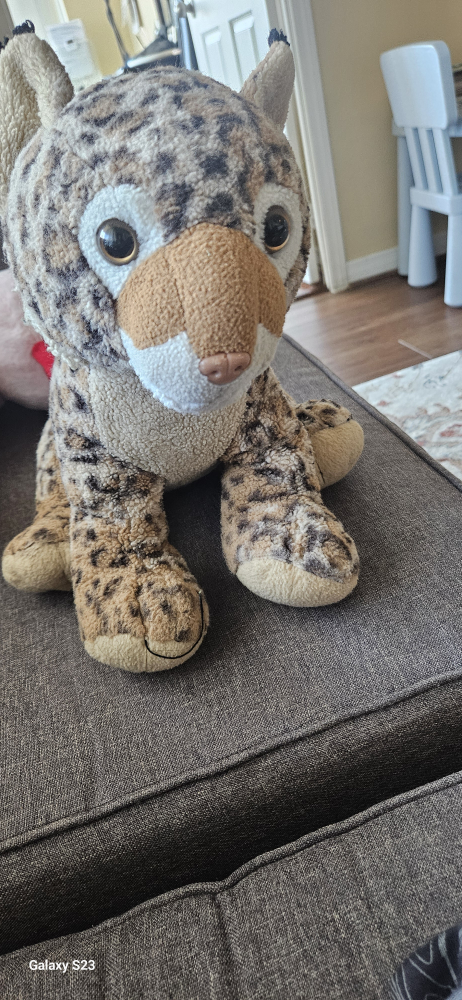 Bobcat for kids , adorable and it makes cat meow noises