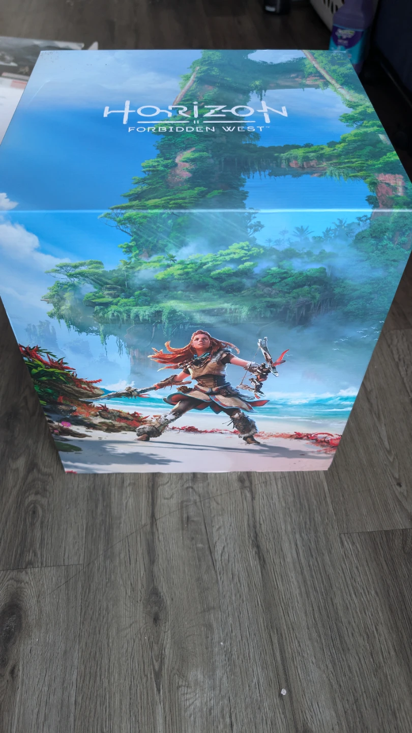 Horizon Forbidden West Collectors Edition - photo 3