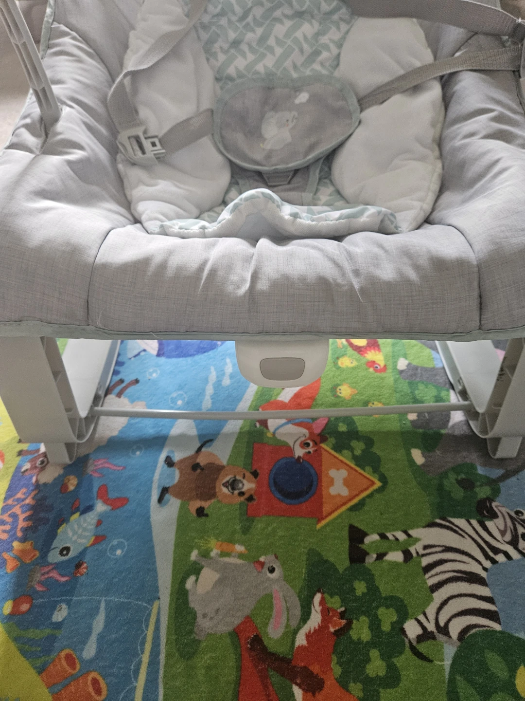 Ingenuity Infant Rocker/Bouncer