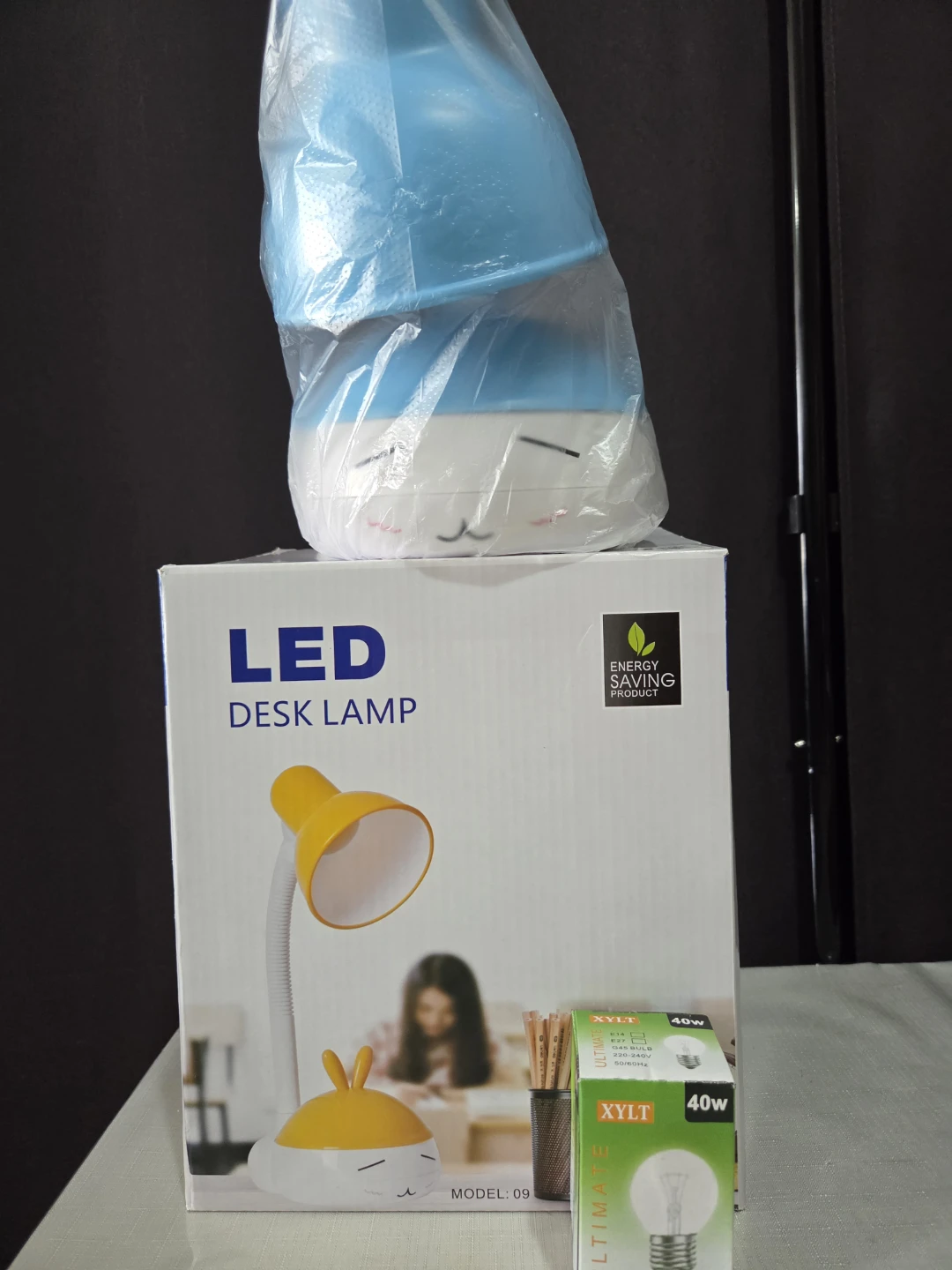 LED Desk Lamp